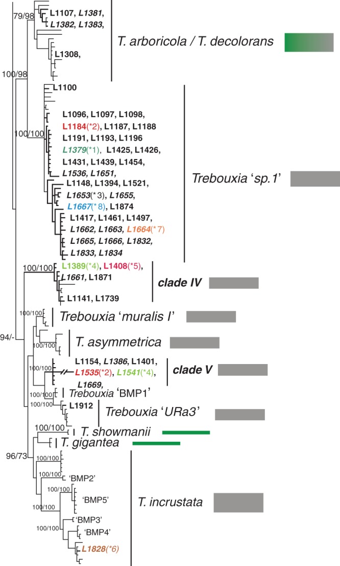 Fig. 1.