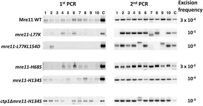 Figure 6