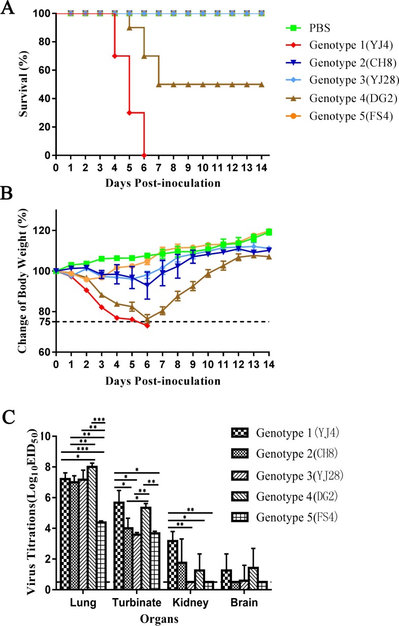 Fig 6