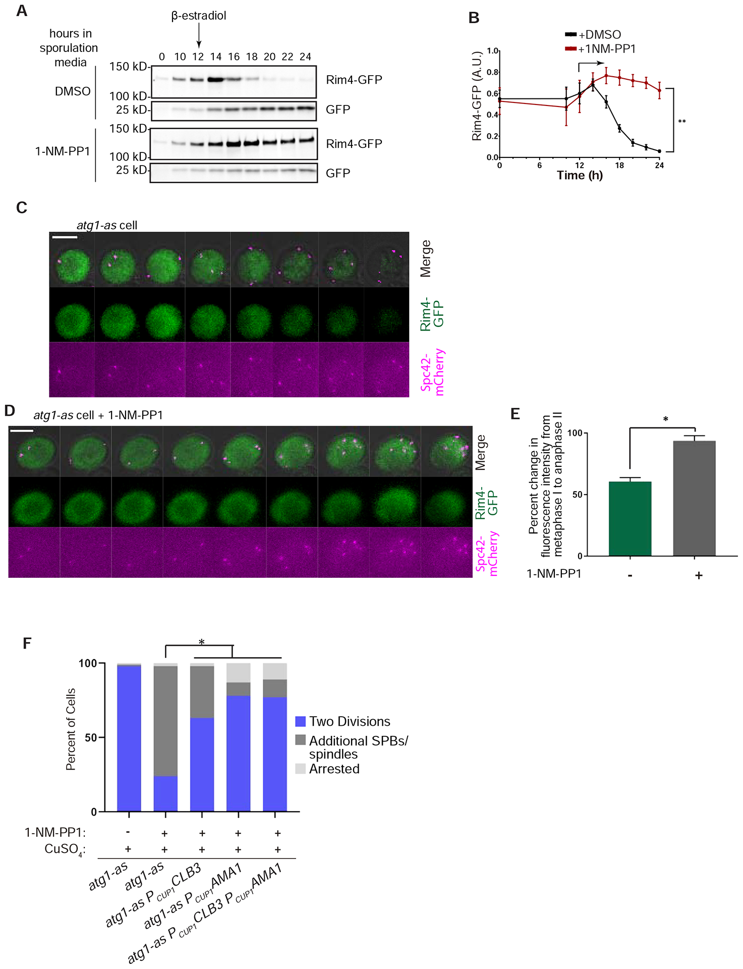 Figure 5: