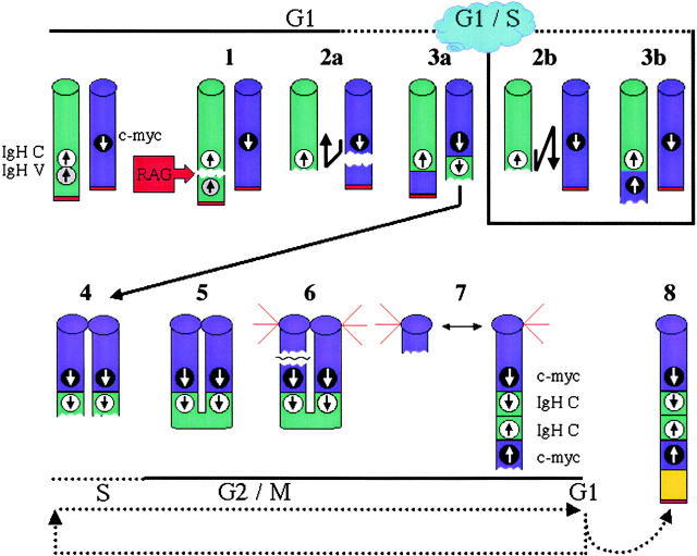 Figure 6.