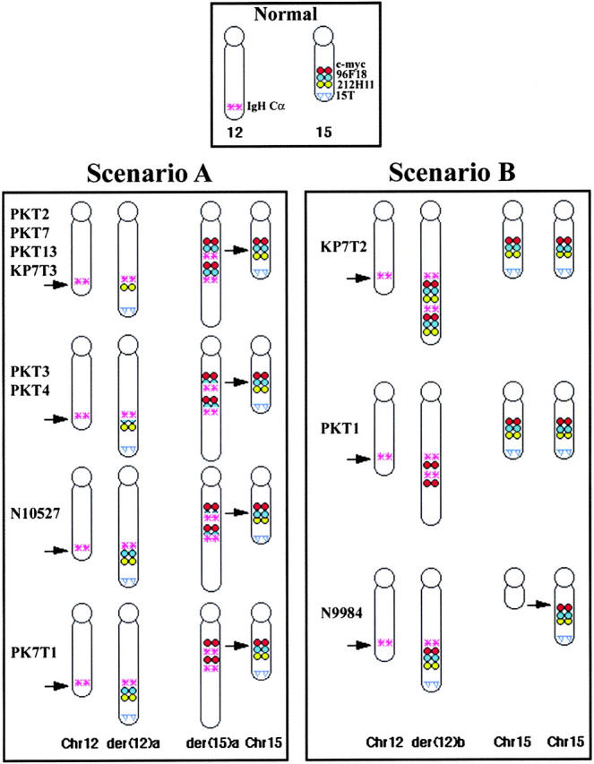 Figure 5.