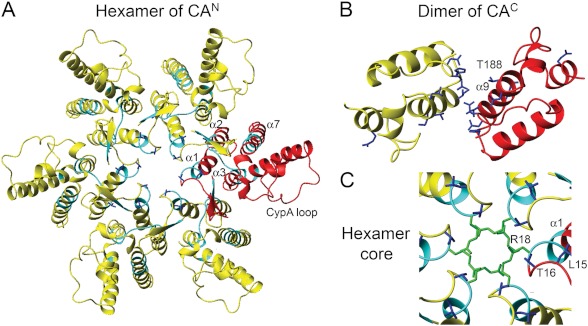 FIGURE 7.