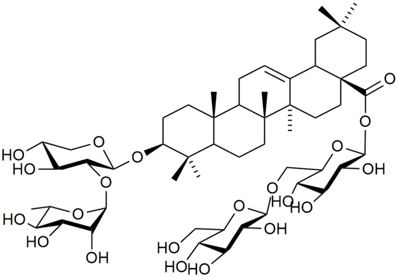 FIGURE 1