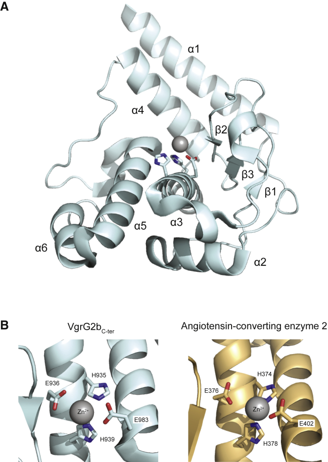 Figure 2