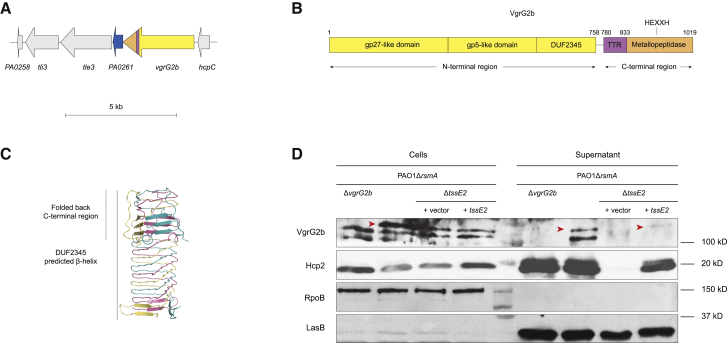 Figure 1