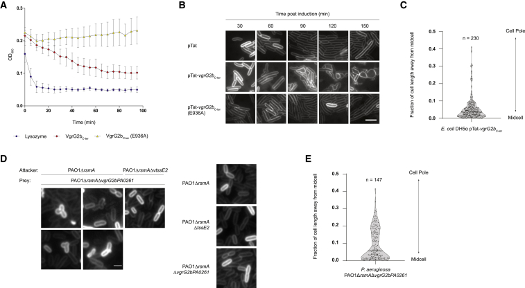 Figure 6