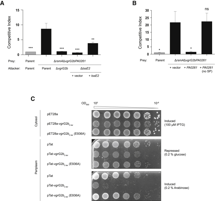 Figure 4