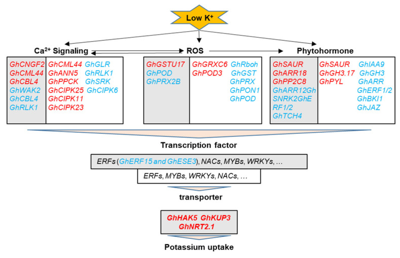 Figure 9