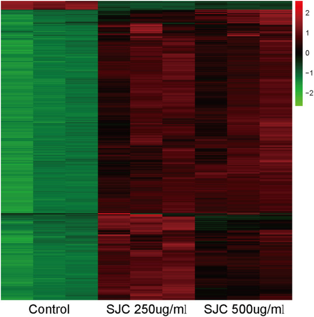 FIGURE 3