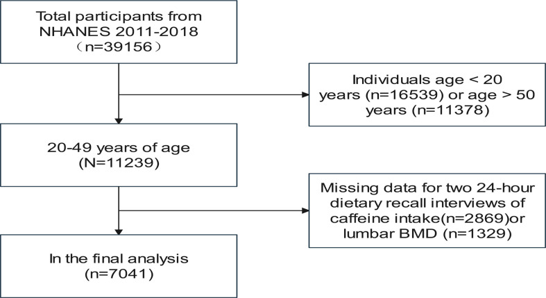 Figure 1