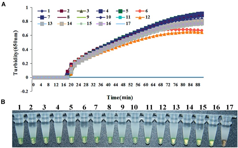 FIGURE 3