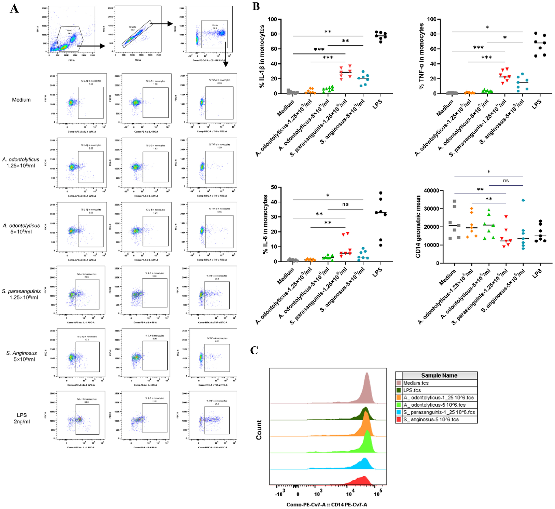 Figure 4.