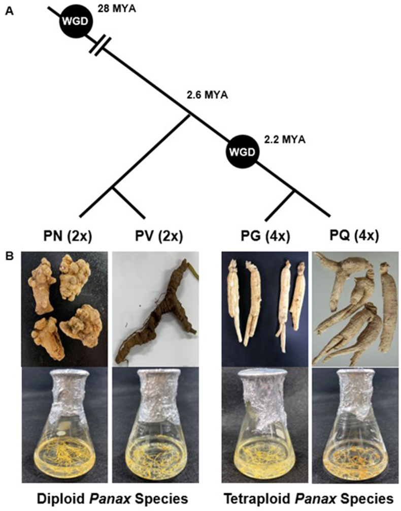 Fig. 1
