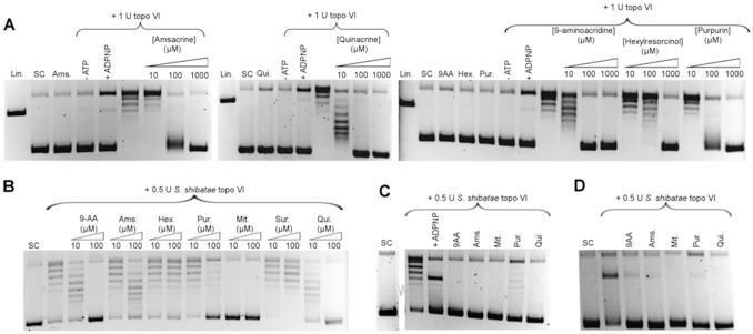 Figure 6