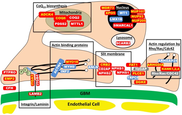 FIGURE 1: