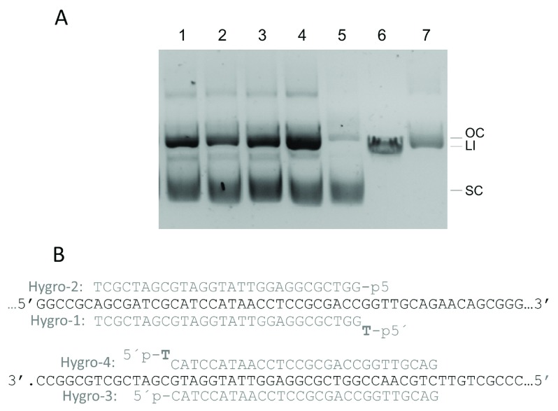 Figure 10. 