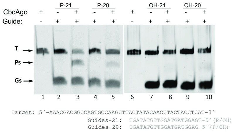 Figure 6. 