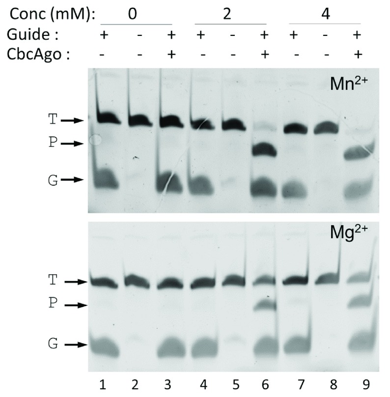 Figure 3. 