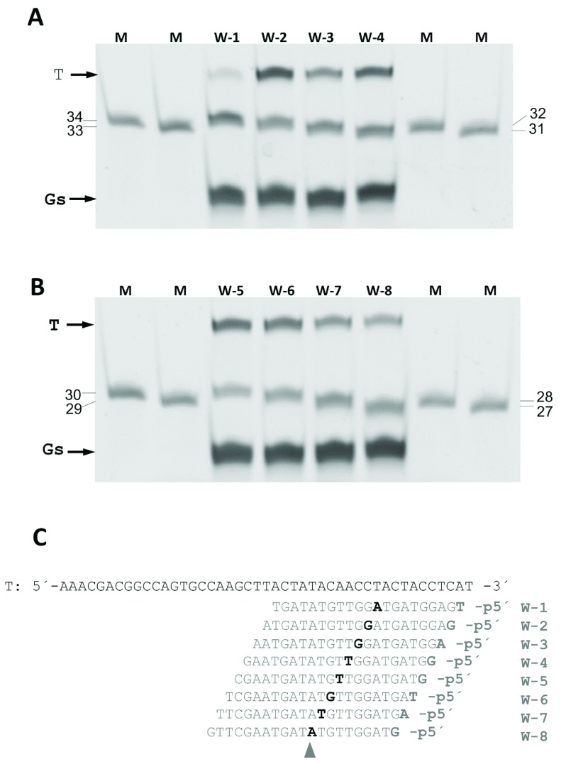 Figure 9. 