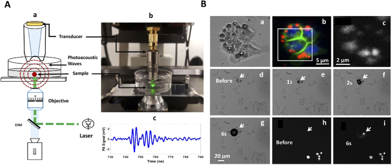 Fig. 4.