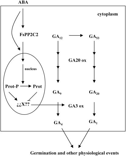 Figure 8.