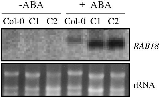 Figure 7.