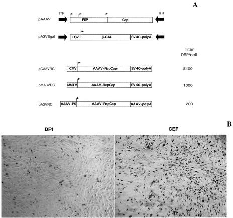 FIG. 5.