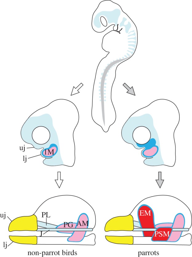 Figure 5.