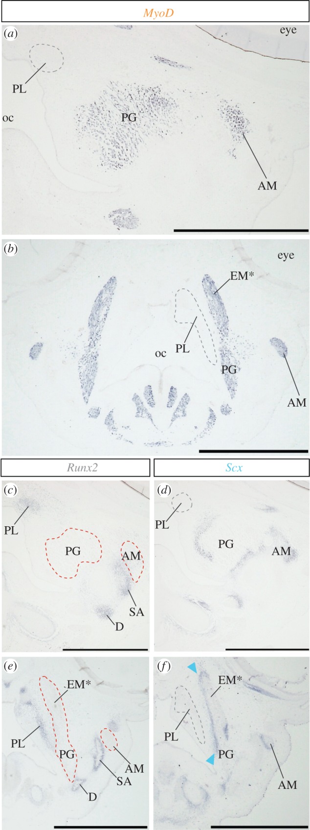 Figure 2.