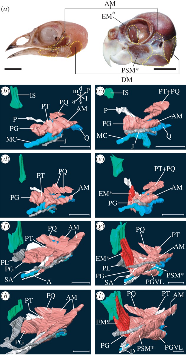 Figure 1.