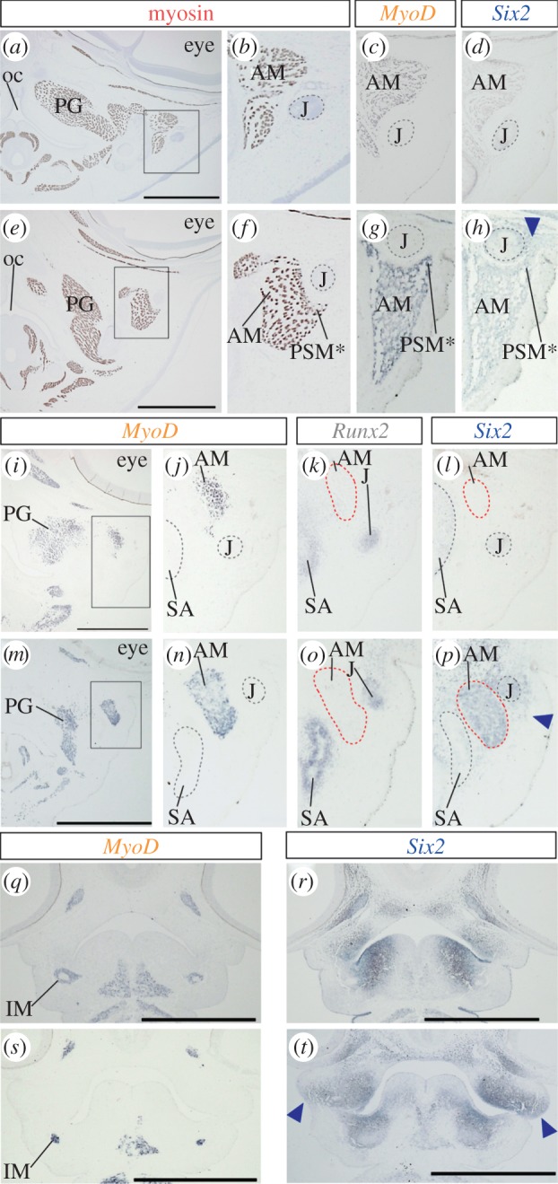 Figure 4.