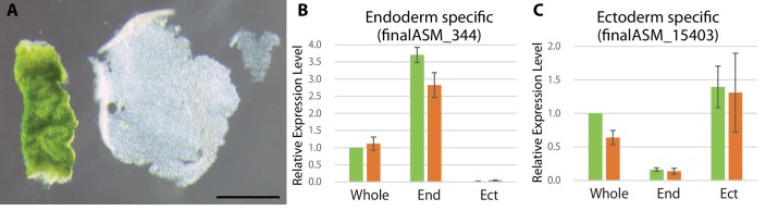 Figure 3—figure supplement 1.