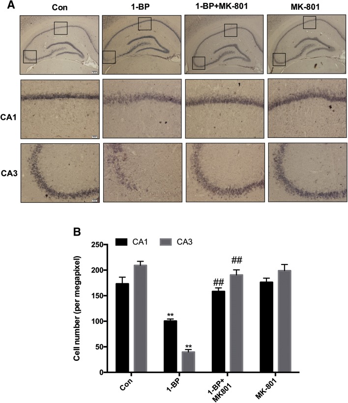 Fig. 4