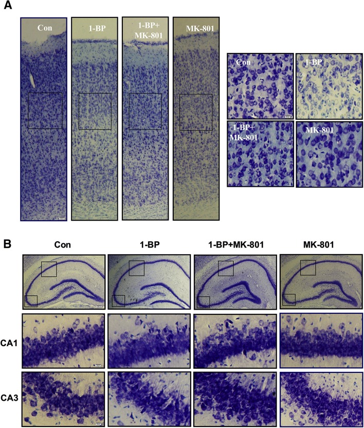 Fig. 3