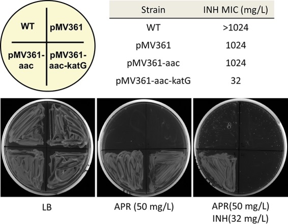 FIG 1