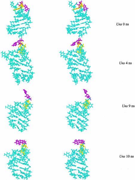 FIGURE 10.