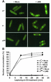 FIG. 5.