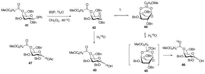 Scheme 7