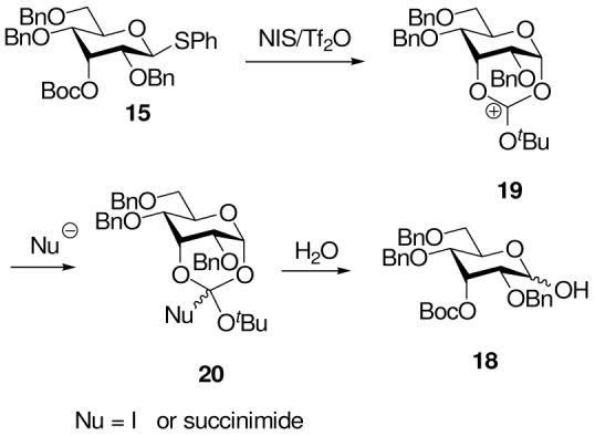 Scheme 4