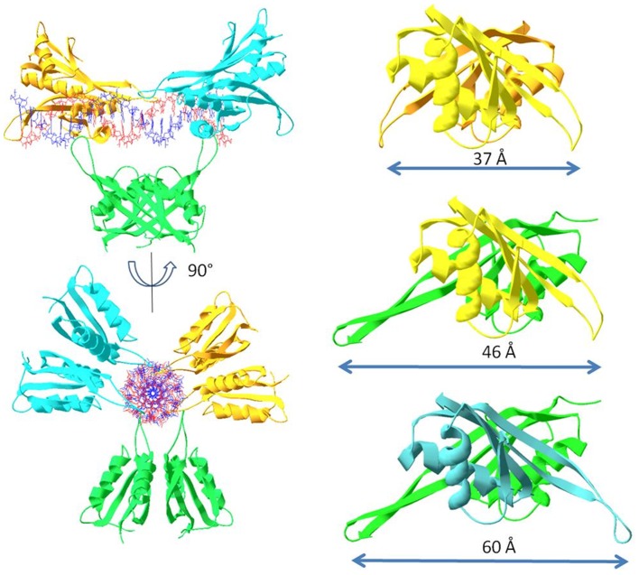 Figure 11