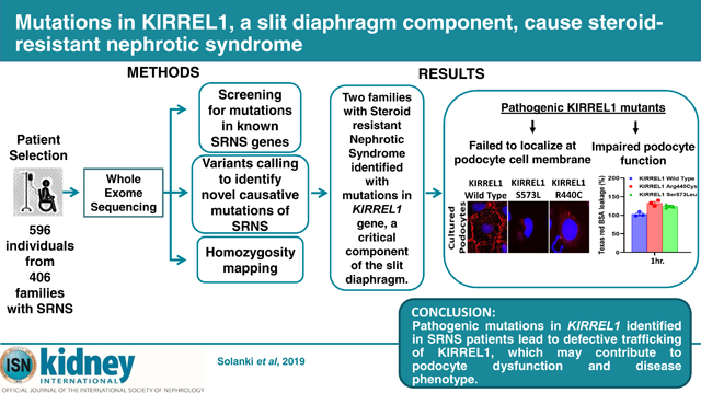 graphic file with name nihms-1534144-f0001.jpg