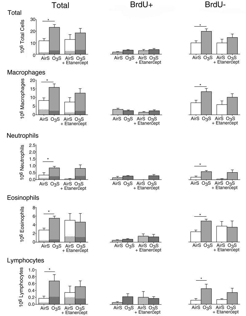 Figure 12.