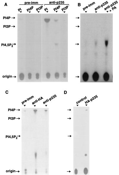 FIG. 11