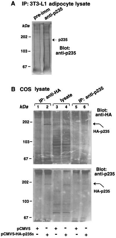 FIG. 10