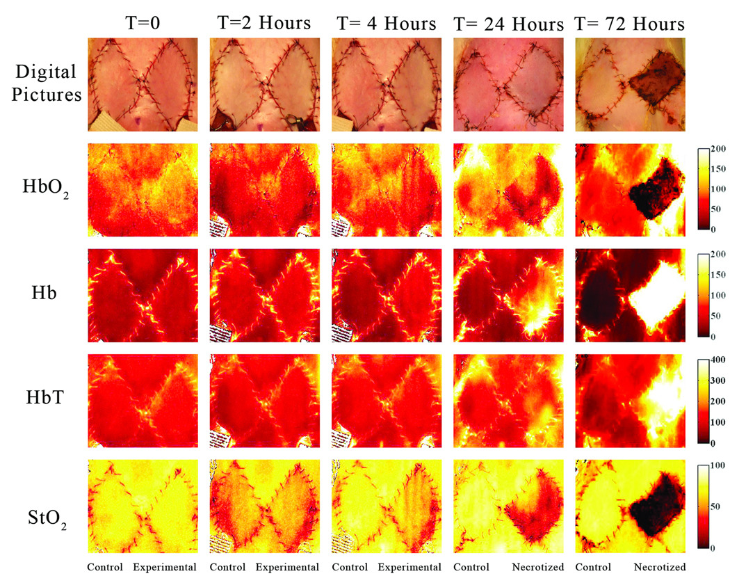 Figure 4