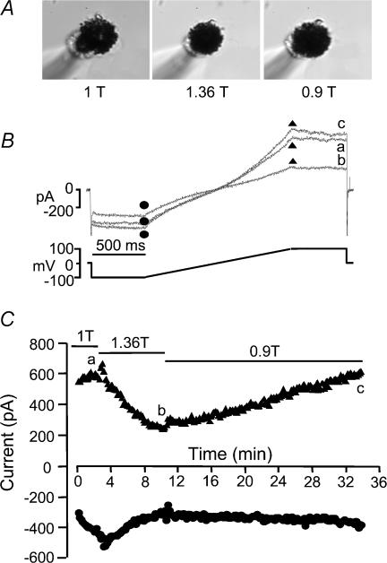 Figure 11