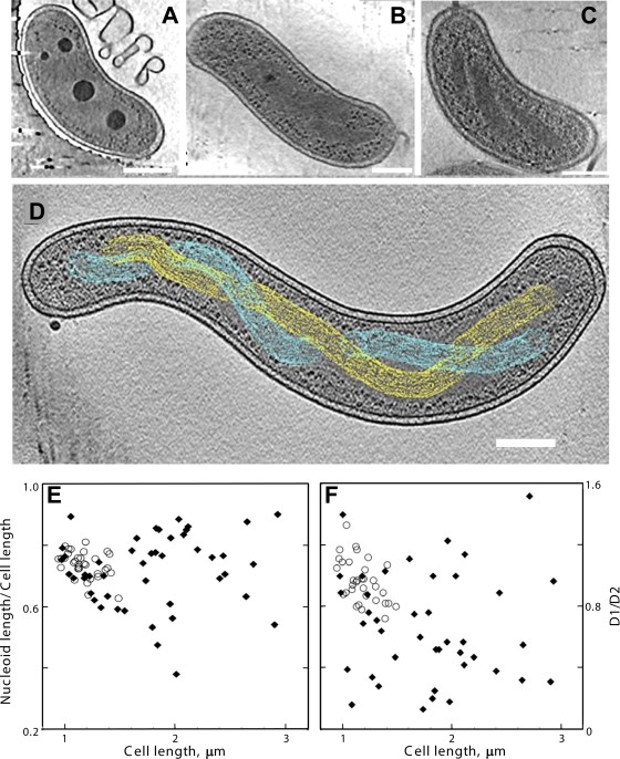 FIG. 1.