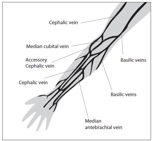 FIGURE 1