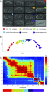 Fig. 3.